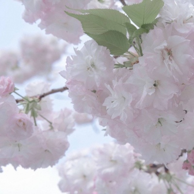 汉川福瑞交流群